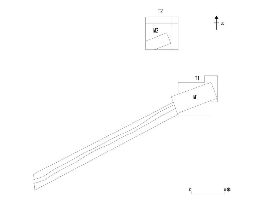 60cb21d4717c5.jpg